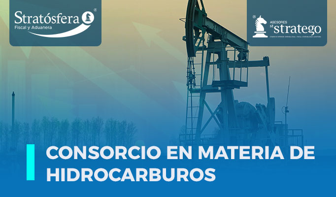 Consorcio en materia de Hidrocarburos