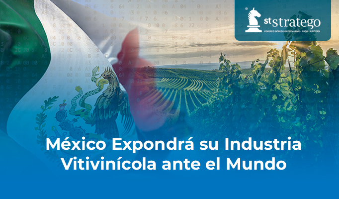 México Expondrá su Industria Vitivinícola ante el Mundo