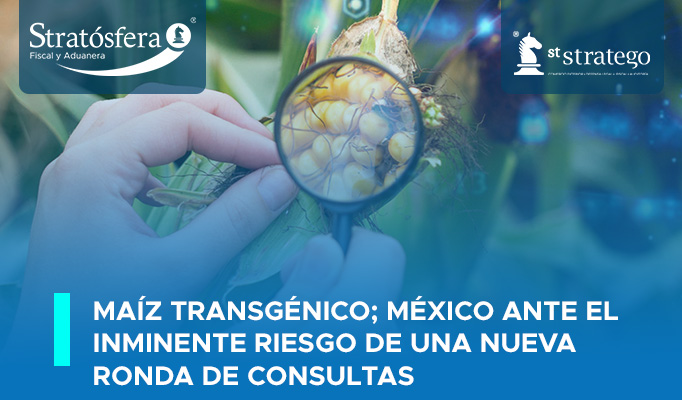 Maíz transgénico; México ante el inminente riesgo de una nueva ronda de consultas